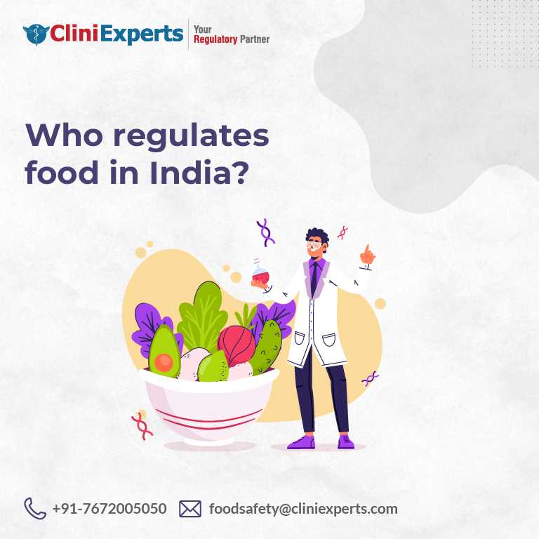 Who Regulates Food in India?