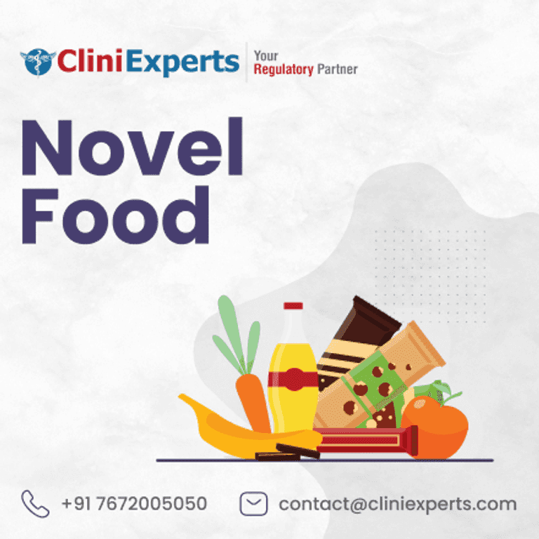 Novel Food Regulations: Approval Process and Market Trends