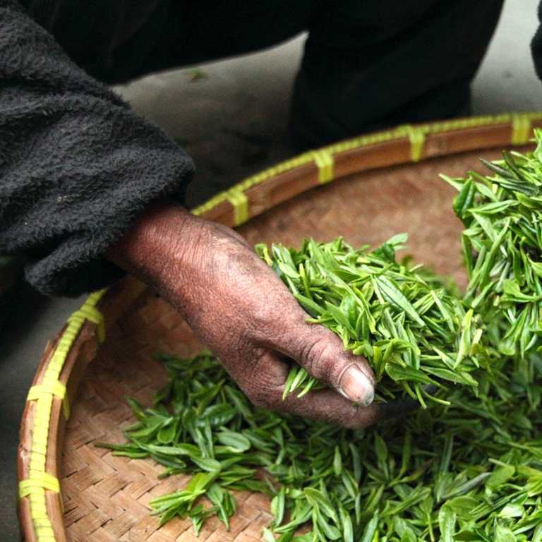 Tea Board of India launched a Mobile App to monitor Tea Industry