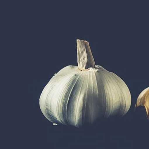 FSSAI Standards for Garlic (Lahsun)