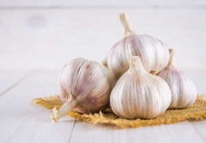 Garlic